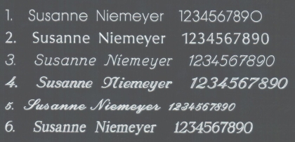 Jagdmedaille (Gans)